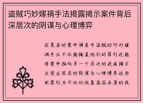 盗贼巧妙嫁祸手法揭露揭示案件背后深层次的阴谋与心理博弈